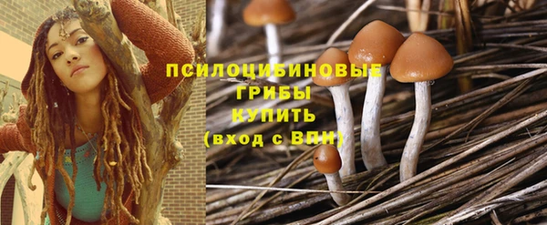 винт Абинск