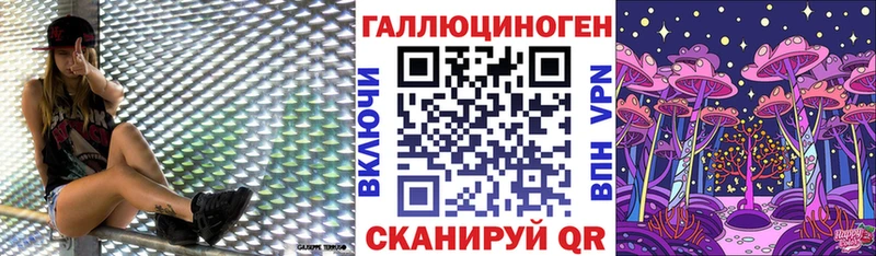 МЕГА как зайти  Уржум  Галлюциногенные грибы Cubensis 